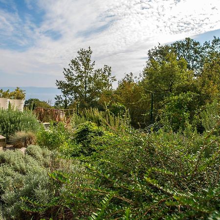 Villa Luce Labin  Eksteriør billede